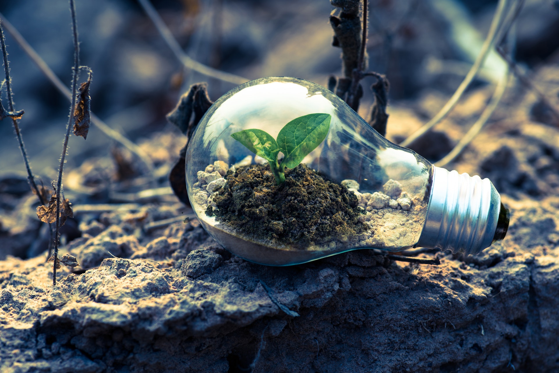 Green initiatives